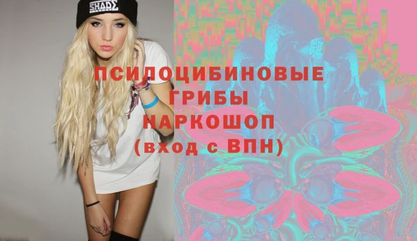 мдпв Армянск
